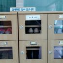 대전하기초등학교 이미지