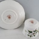 도그 블라썸 이미지