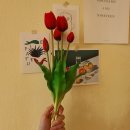 차씨네농장 | 먹고 노는 인생