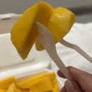 나트랑 분위기 맛집 세일링클럽 | 65번 과일가게 후기