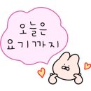 쁘띠몽드양산