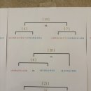 복싱아레나 | 선부동 안산제일 복싱 여성 생활체육 복싱 대회 '퀸즈 아레나' 출전 했습니다 !