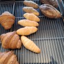 삼덕공원 앞 이미지