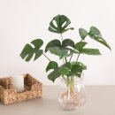 녹색플라워 이미지