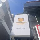고양이 행복구역 이미지