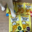 (주) 팻맨 이미지