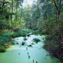 기분 존 이미지