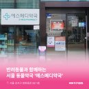 서울메디약국 이미지