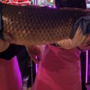 Love낚시카페 이미지