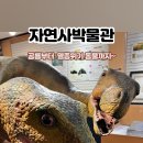 경북대학교 자연사박물관 이미지