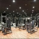 제임스짐 이미지