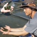 김성호농장 이미지