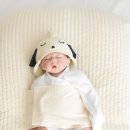 제이앤아이 이미지