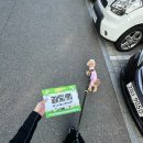벤지 | 댕댕런 2025 대전 후기 – 벤지와 함께 달린 5km 러닝 경험