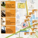 달구벌대로 이미지