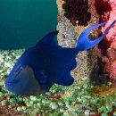 카카오톡 채널 신규 개설 이미지