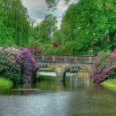 조경기능사 이미지