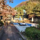 숲속에일출좋은펜션 이미지