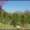 쌍룡초 토교분교장 이미지