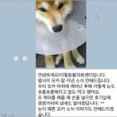 태산동물병원 이미지