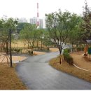 초안산 캠핑장 이미지