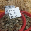 현숙상회