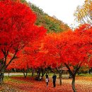 오색비단 - 양산시 양산역7길 14 | 오색비단