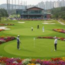 선학골프 이미지