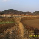 갯마을가든펜션 이미지