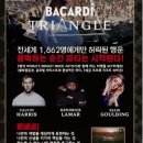 트라이앵글럼 이미지