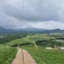 제주새별 이미지