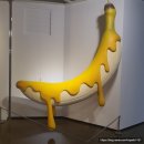 유니 축사 이미지