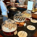 배부른곰도리 | 그랜드 하얏트(Grand Hyatt): 프라이빗한 2026 스트로베리 애프터눈티 뷔페 솔직한 후기