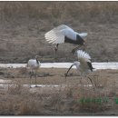 처음, 철원 이미지