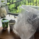 라탄 앤 day 이미지