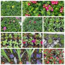 송가네종묘사 이미지