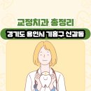 트리베일러(Baylor)치과의원 | 경기도 용인시 기흥구 신갈동 교정치과 총정리