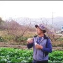 문병철농장 네이버블로그