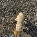용계 | 영천 별빛용계스테이 숙소 후기