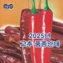 진흥종묘사 이미지