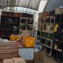 유연농장 | 인천 서구 김포 검단신도시 주말농장 추천 주차 화장실 완비 이삭 주말농장