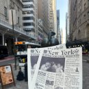 후니 피자 | 후니하루 주간일기 (25년 8월 뉴욕 여행 마지막 4일차)