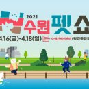 닥터파인드 이미지