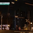 제주방목흑도야지