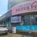 피터펫 | 설연휴 대전 탄방동 피터펫 애견호텔링 후기 !
