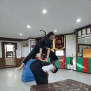 합기도 특공무술 제주연수원 | 제주 합기도 열정 가득한 체계적인 수업 합기도 용호체육관