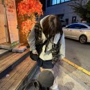 각시보쌈 - 부천시 원미구 석천로21번길 7 | 각시보쌈