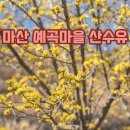 예곡 이미지