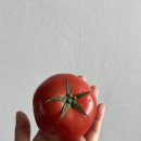카멜세탁소 | 도란도란 이야기 시작할 테니까 모두 모이세요이⋋(◍’◊’◍)⋌ 부산 다녀옴