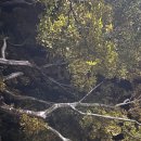 소소한가 이미지